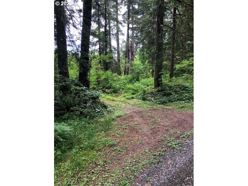 Property Photo: Elliott WA 98675