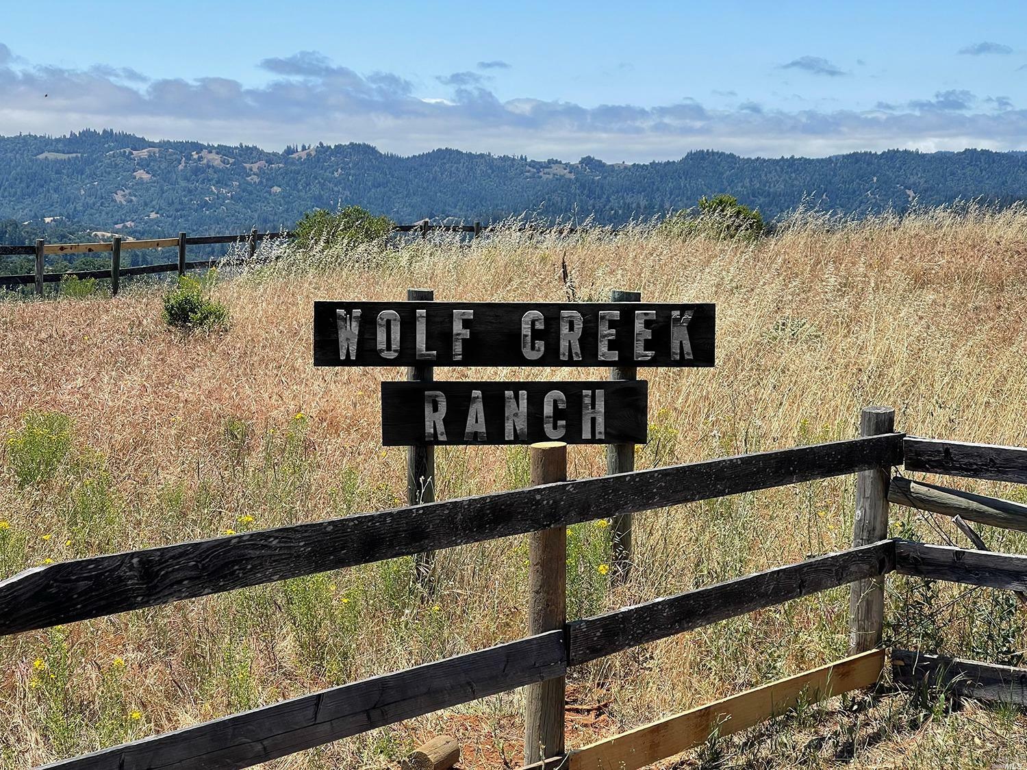 Property Photo:  16800 Stewarts Point Skaggs Springs Road  CA 95412 