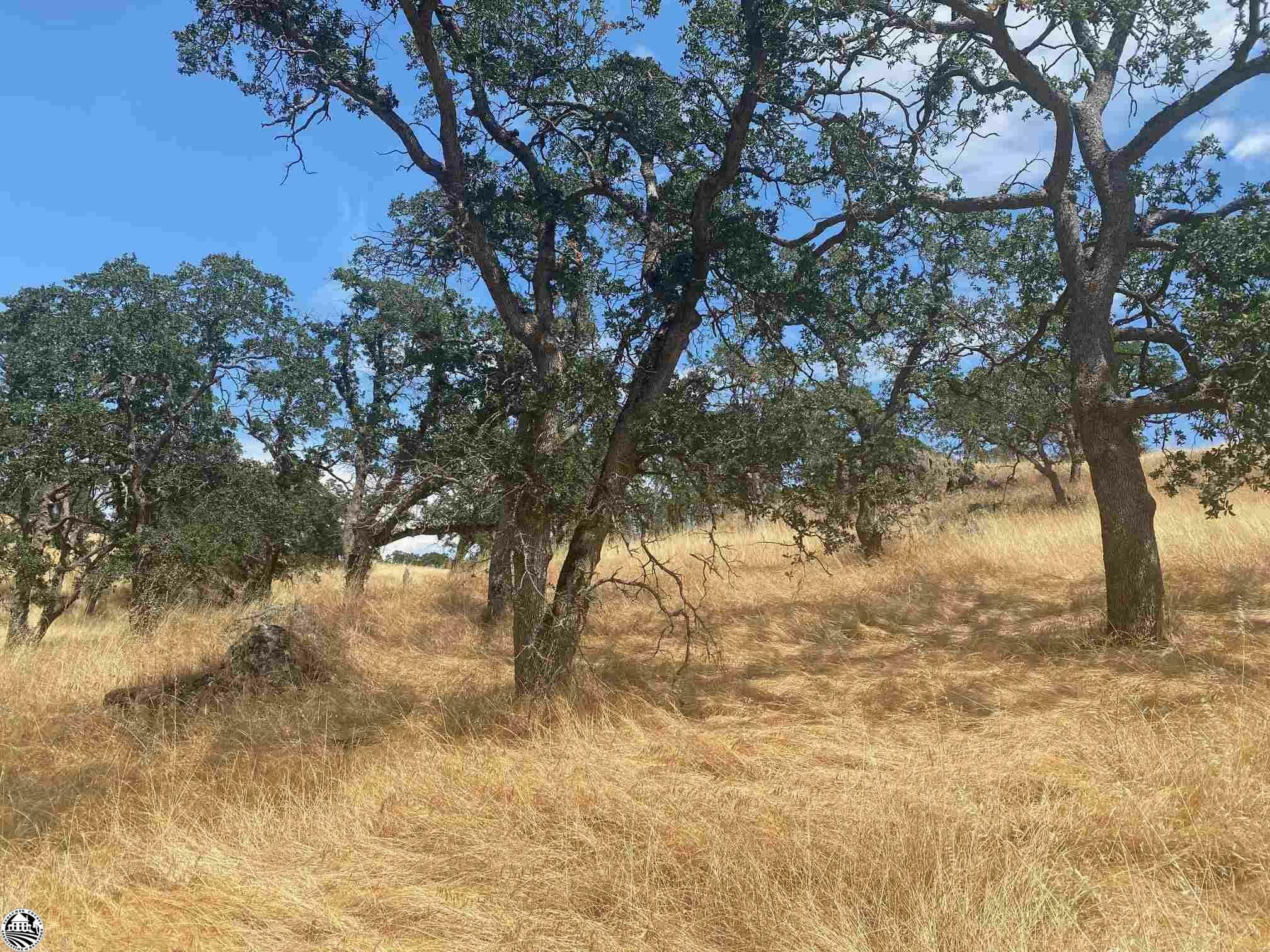 Property Photo:  9796 Caracol Circle Lot#1688  CA 95329 