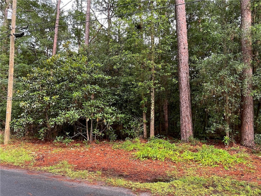 Property Photo:  Eleanor Avenue  SC 29936 