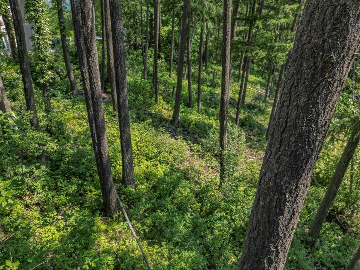 Lot 25 Forest View Place — photo 1