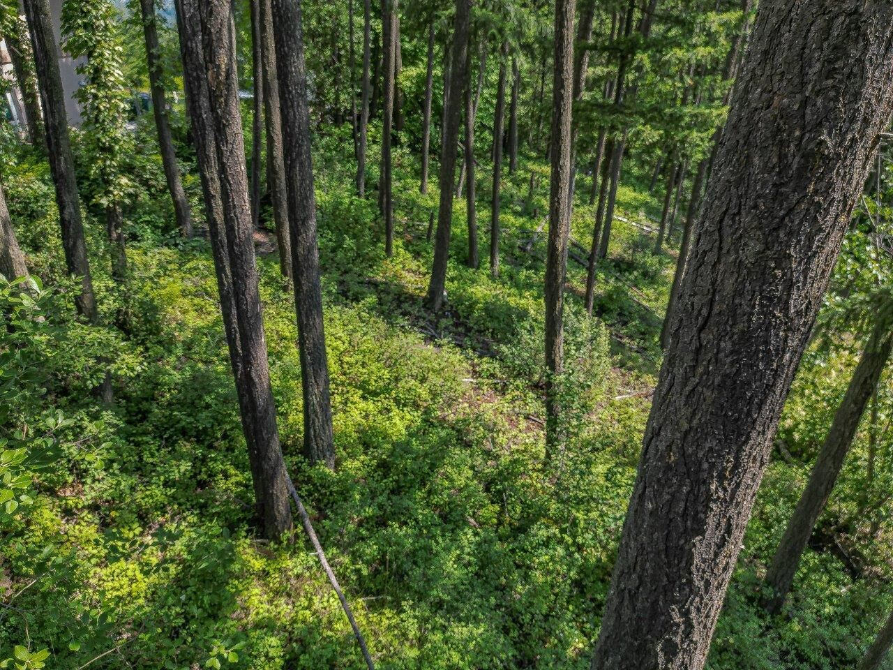 Property Photo: Lot 25 Forest View Place BC V0E 1H1