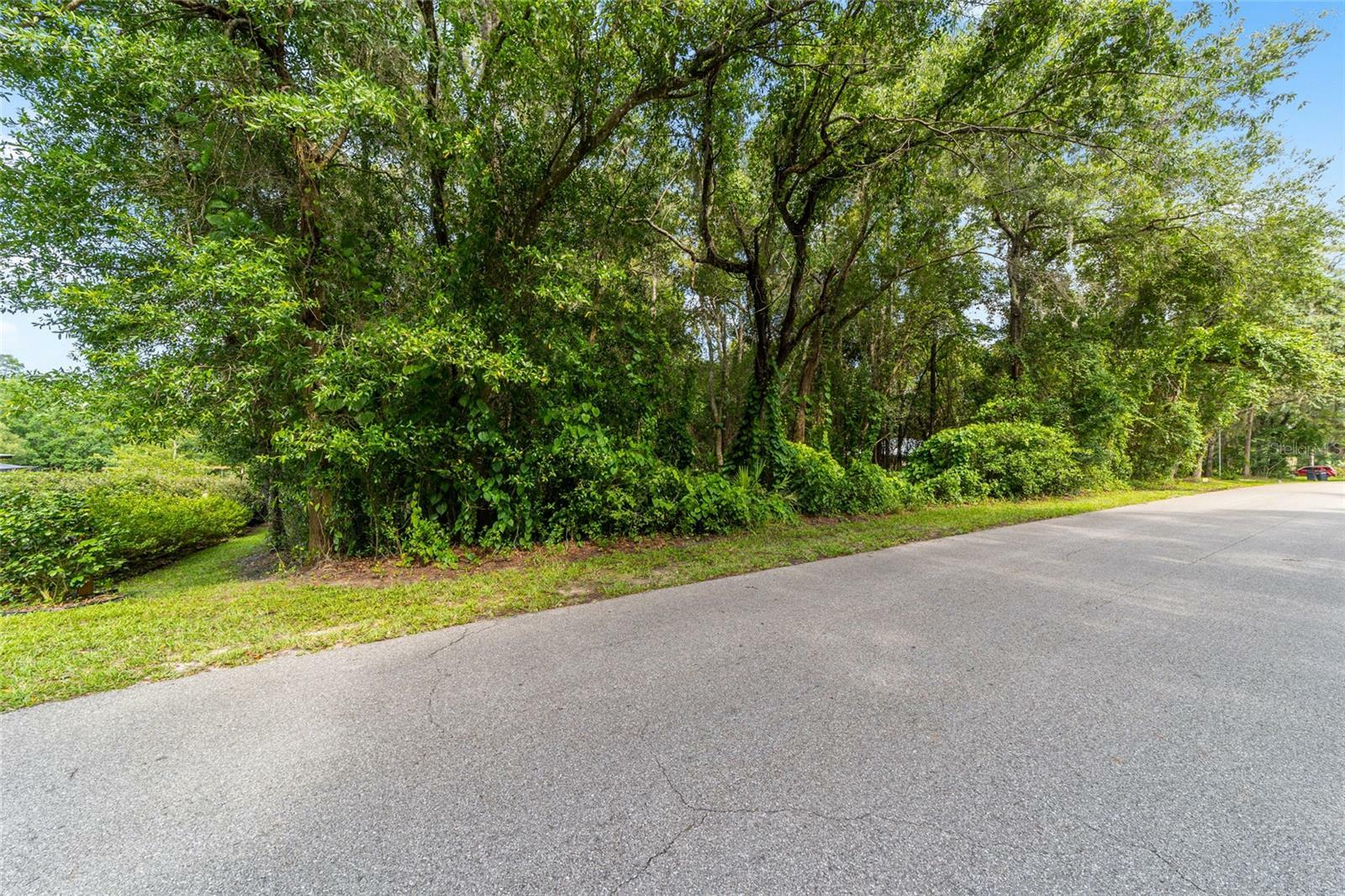 Property Photo:  835 North McGowen Avenue  FL 34429 