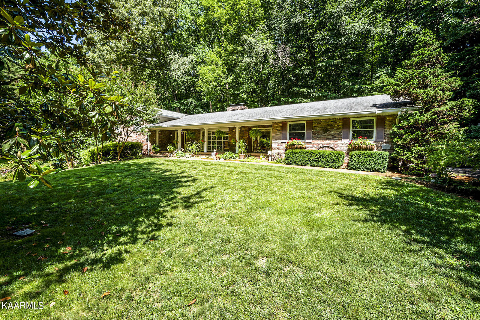 Property Photo:  1613 Cove Creek Lane  TN 37919 