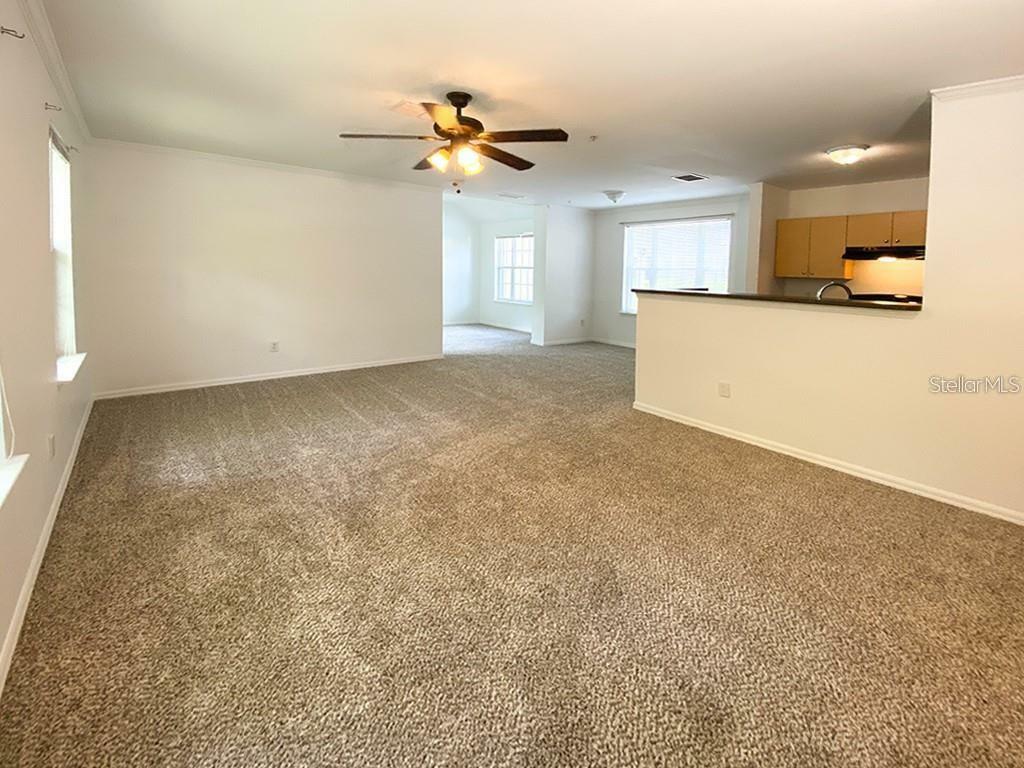 Property Photo:  1017 Siena Park Boulevard E  FL 34747 