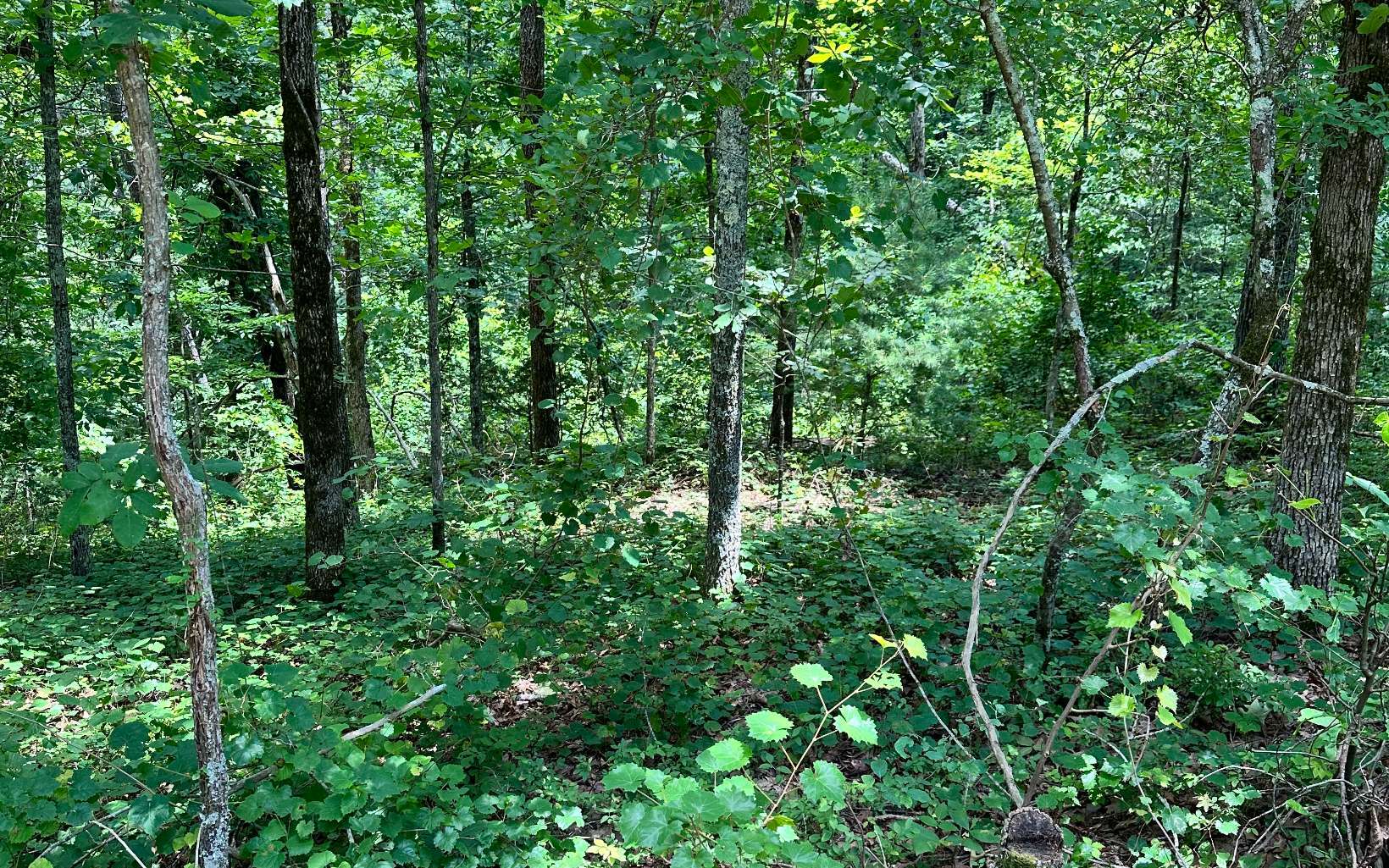 Property Photo:  0 Rebekah Ridge Road  GA 30175 