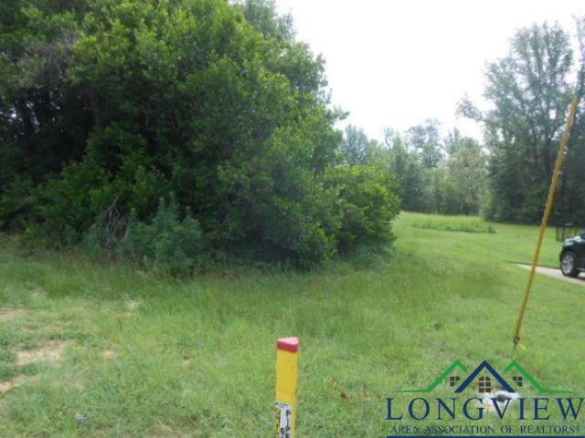 Property Photo:  Tbd Lot 8 McMurray  TX 75654 