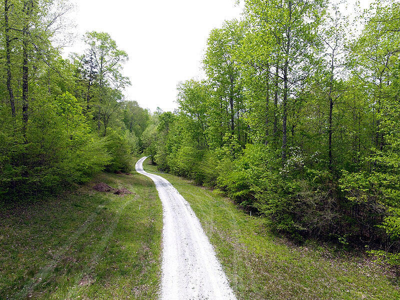 Property Photo:  Tract 12 Dogwood Drive  KY 42653 