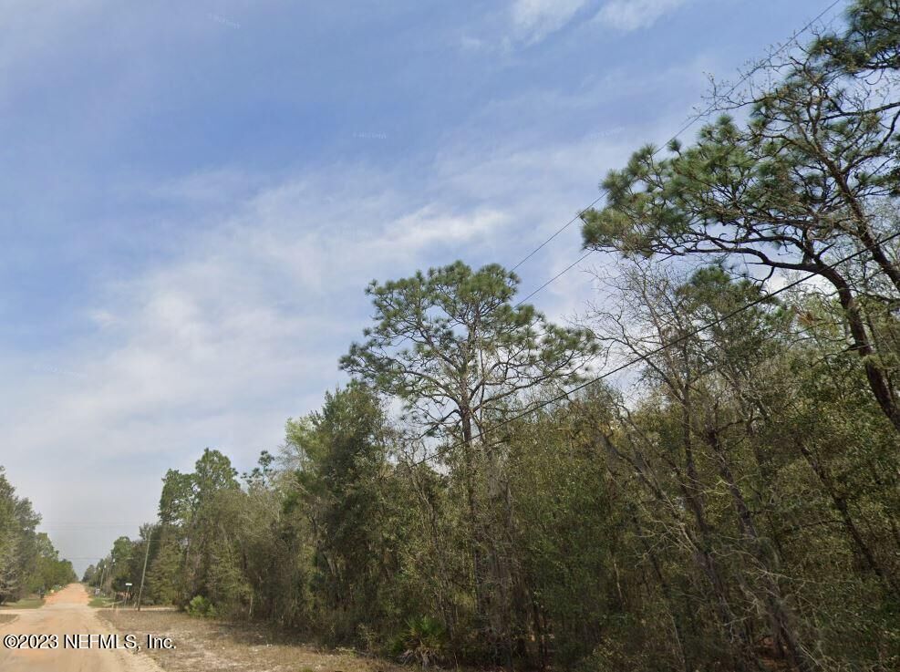 Property Photo: Lot 30 O Farrell Avenue FL 32148