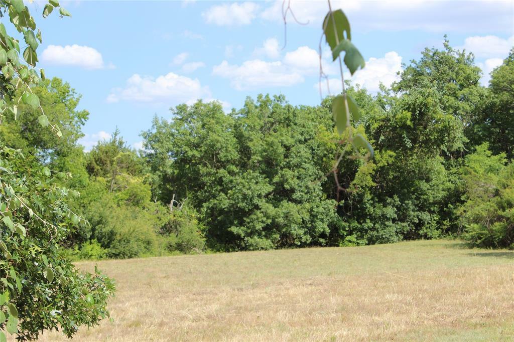 Property Photo:  Lot 2 Vine Street  TX 76086 