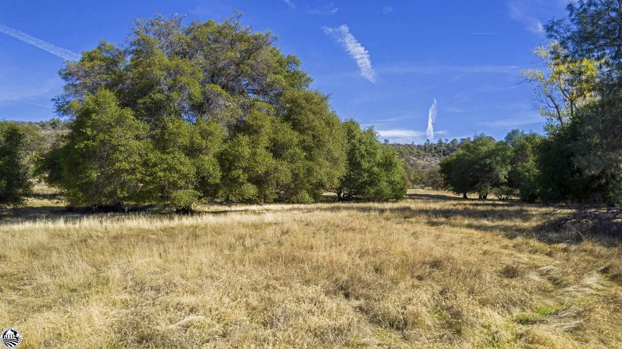 Property Photo:  16275 Moccasin Ranch, Parcel 29 Road  CA 95329 