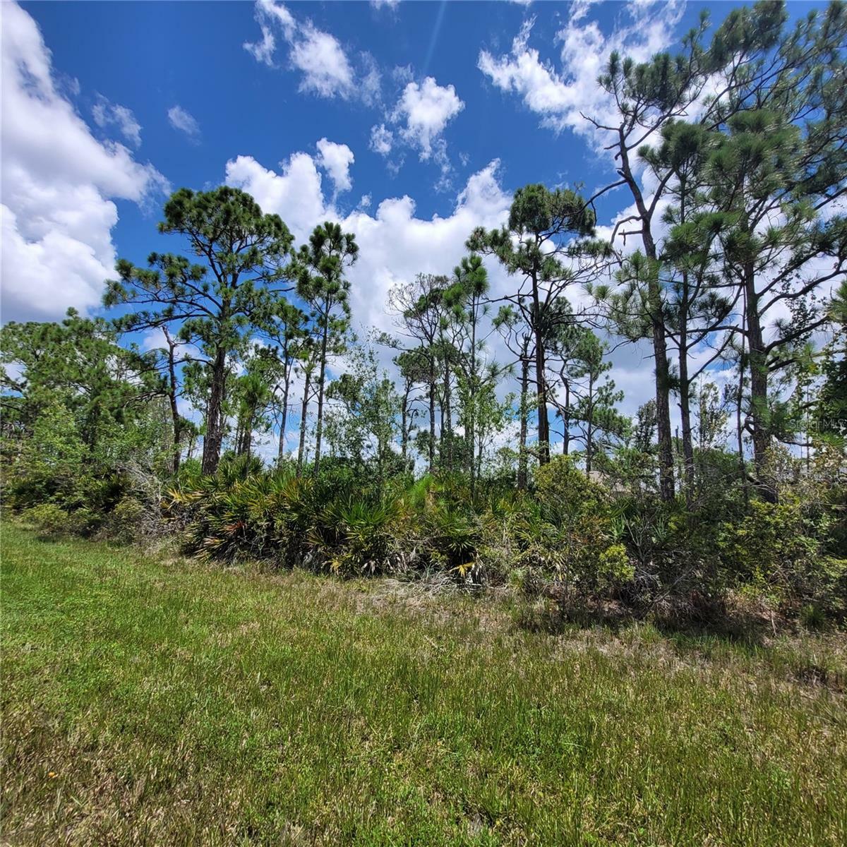 Property Photo:  5607 David Boulevard  FL 33981 