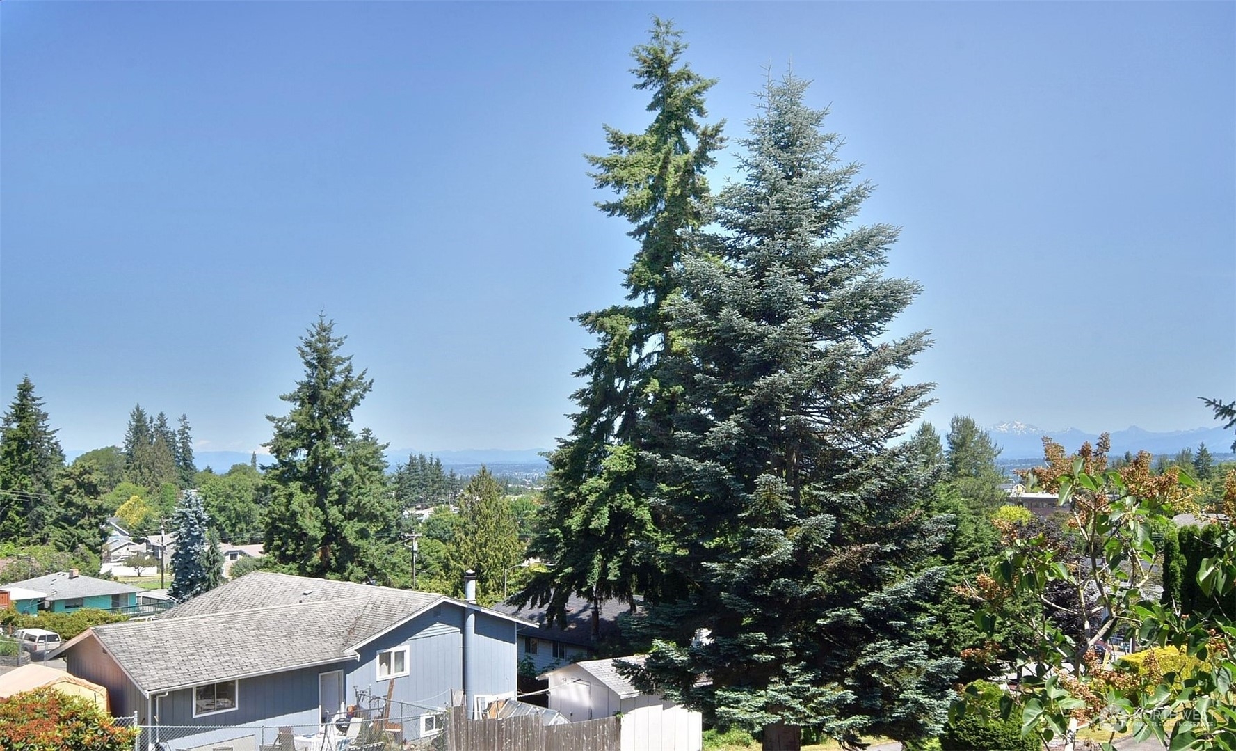 Property Photo:  4302 Grand Avenue  WA 98203 