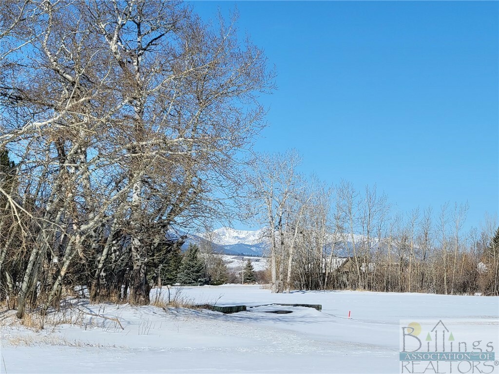 Property Photo:  30 Grizzly Circle  MT 59068 