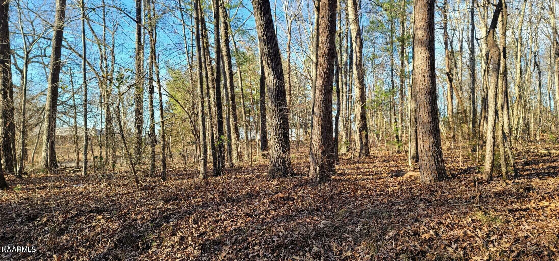 Property Photo: Lot 5 Boyd Rd TN 37307