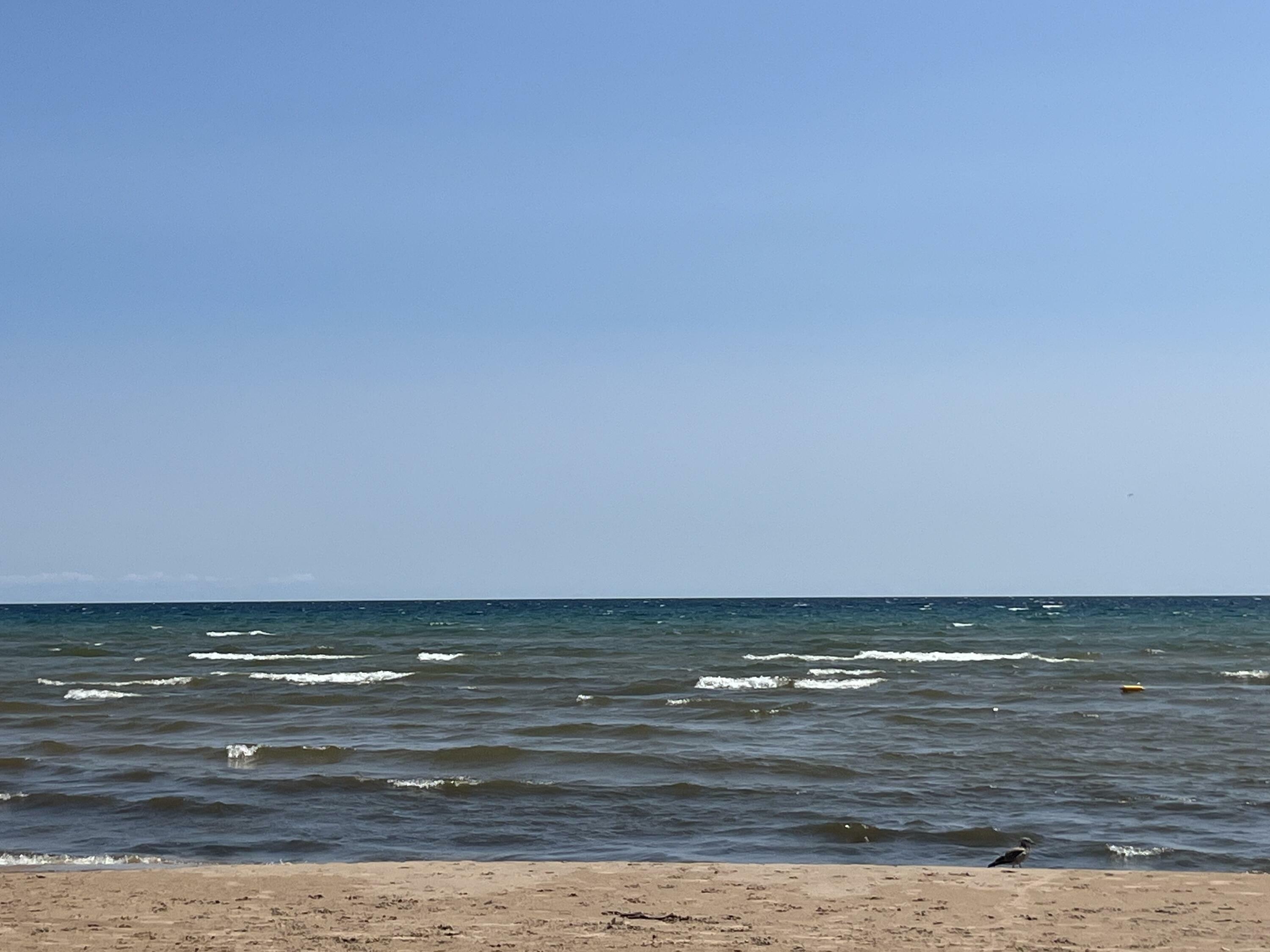 Property Photo:  W12965 West Beach Rd  MI 49762 