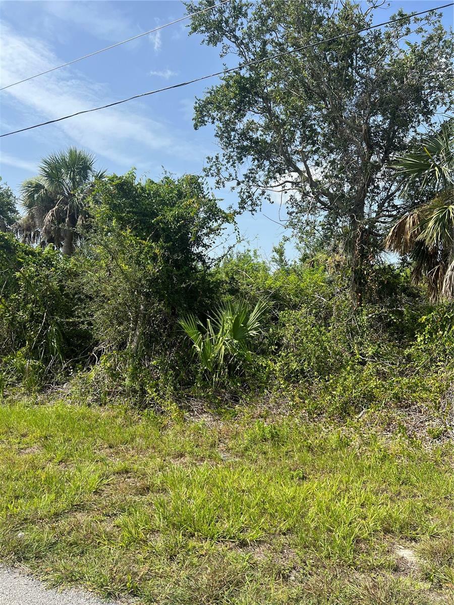 Property Photo:  13806 Allamanda Circle  FL 33981 