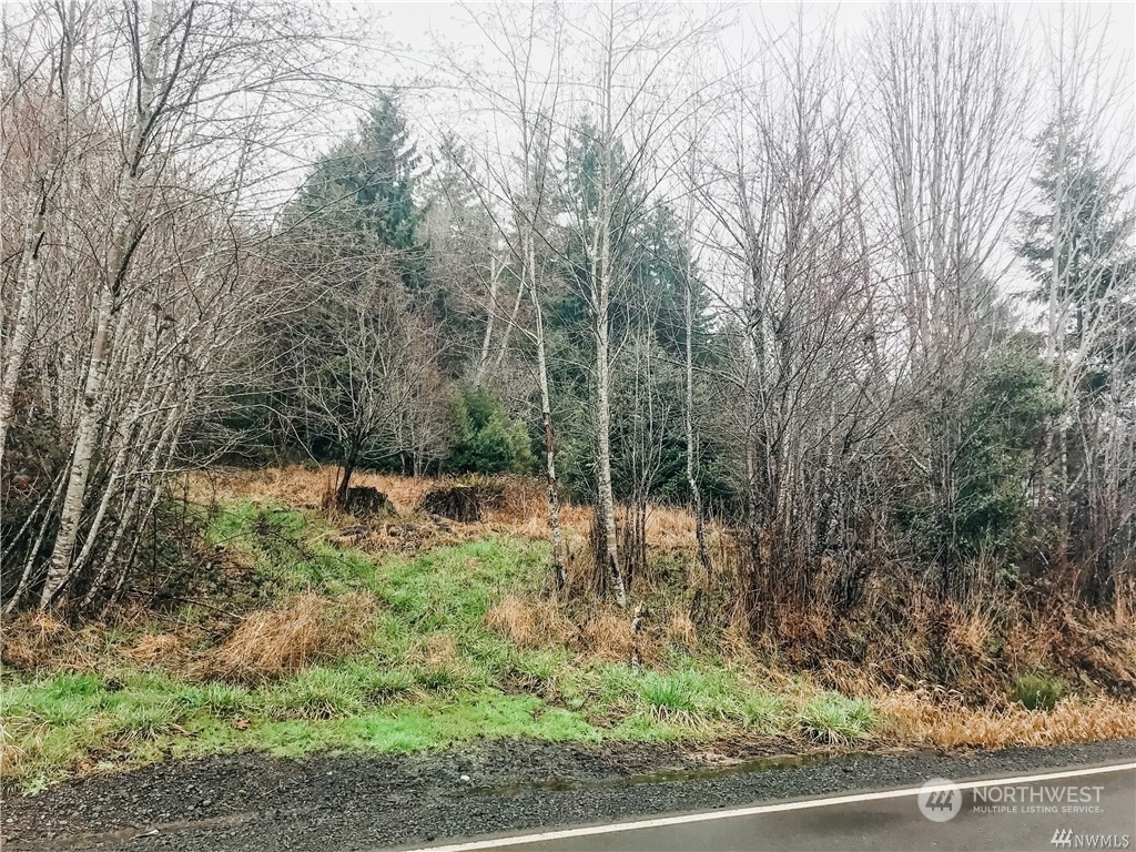 Property Photo:  371 Monohon Landing Road  WA 98577 