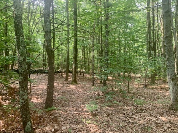 Property Photo:  Lot 5 Richardson Rd  MA 01431 