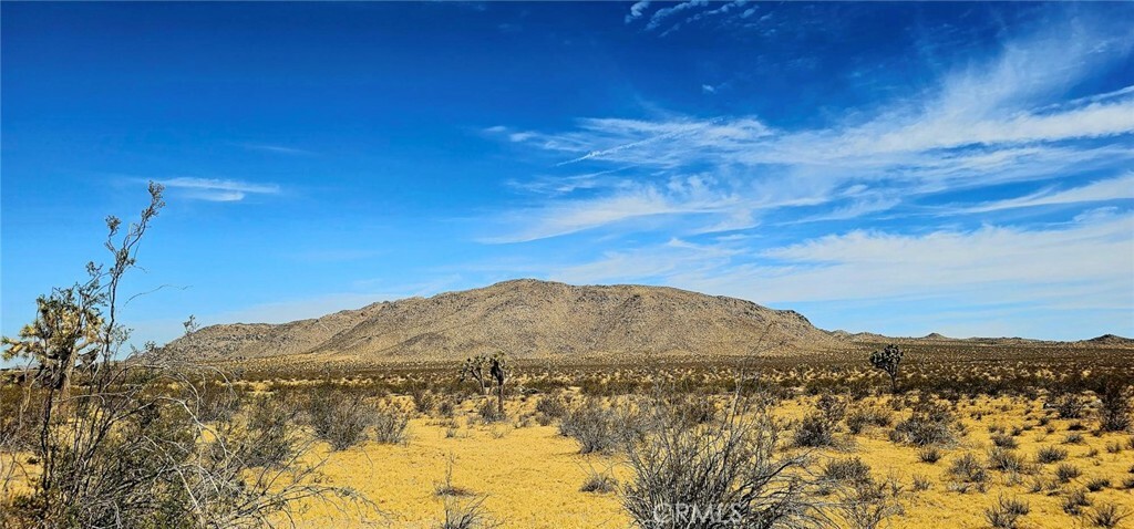 Property Photo:  27227 Cahuilla Road  CA 92307 