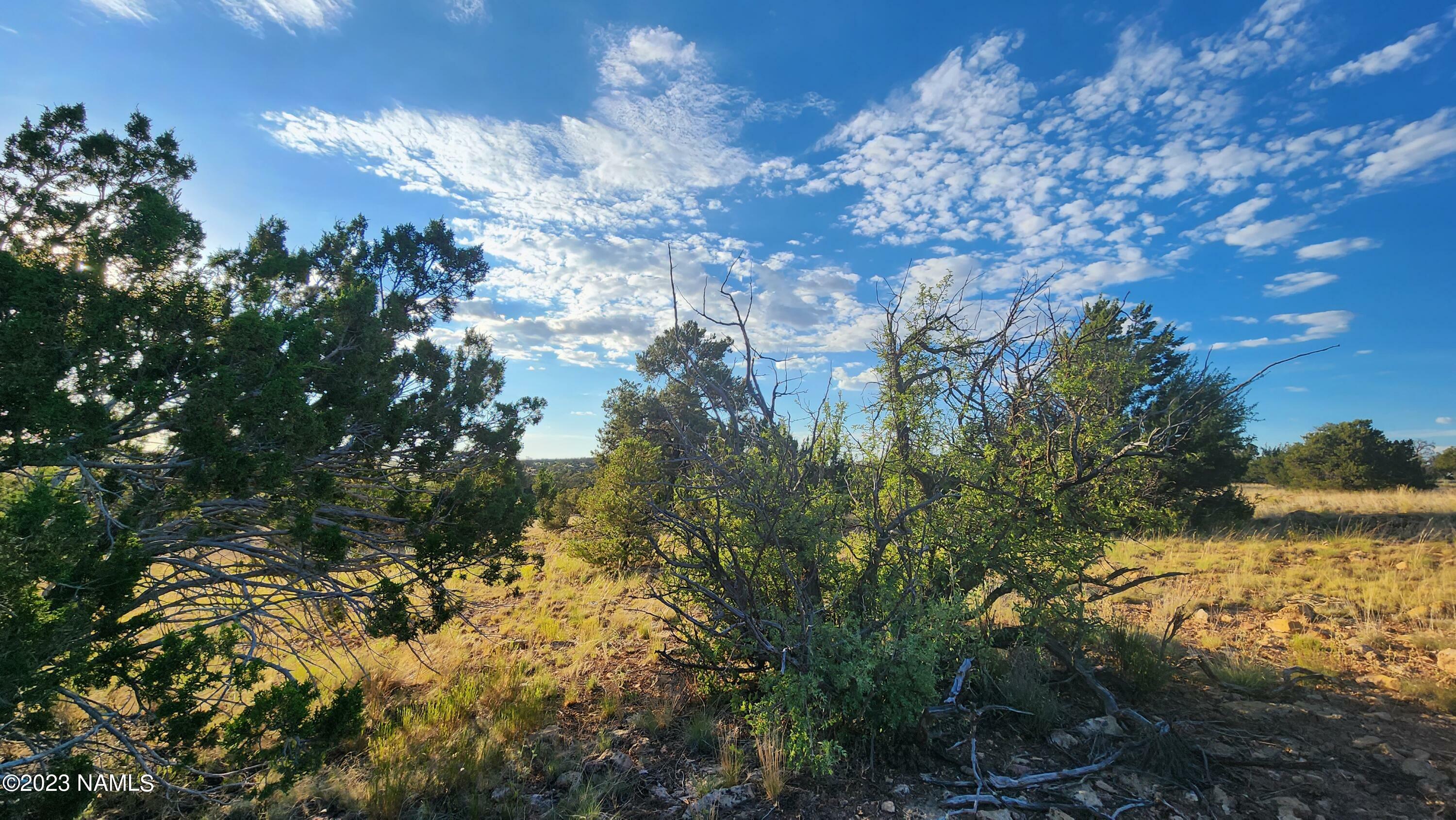 Property Photo:  5854 S Estrella Road  AZ 86046 