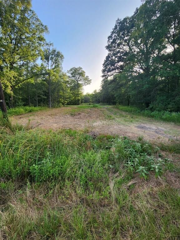 Property Photo: 997 Acr 493 Road TX 75832