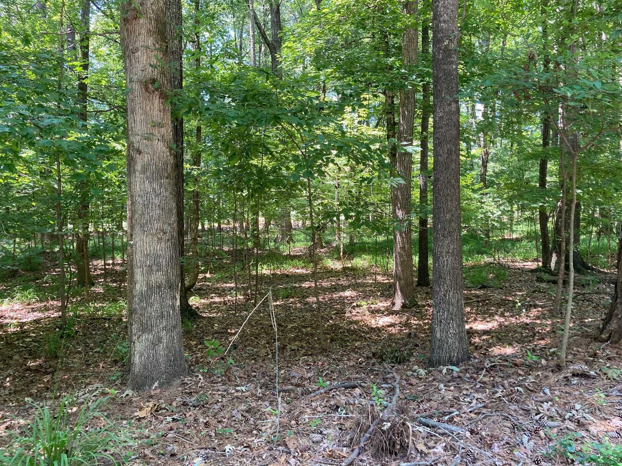 Property Photo: 1271 Anchor Bay Drive GA 30642
