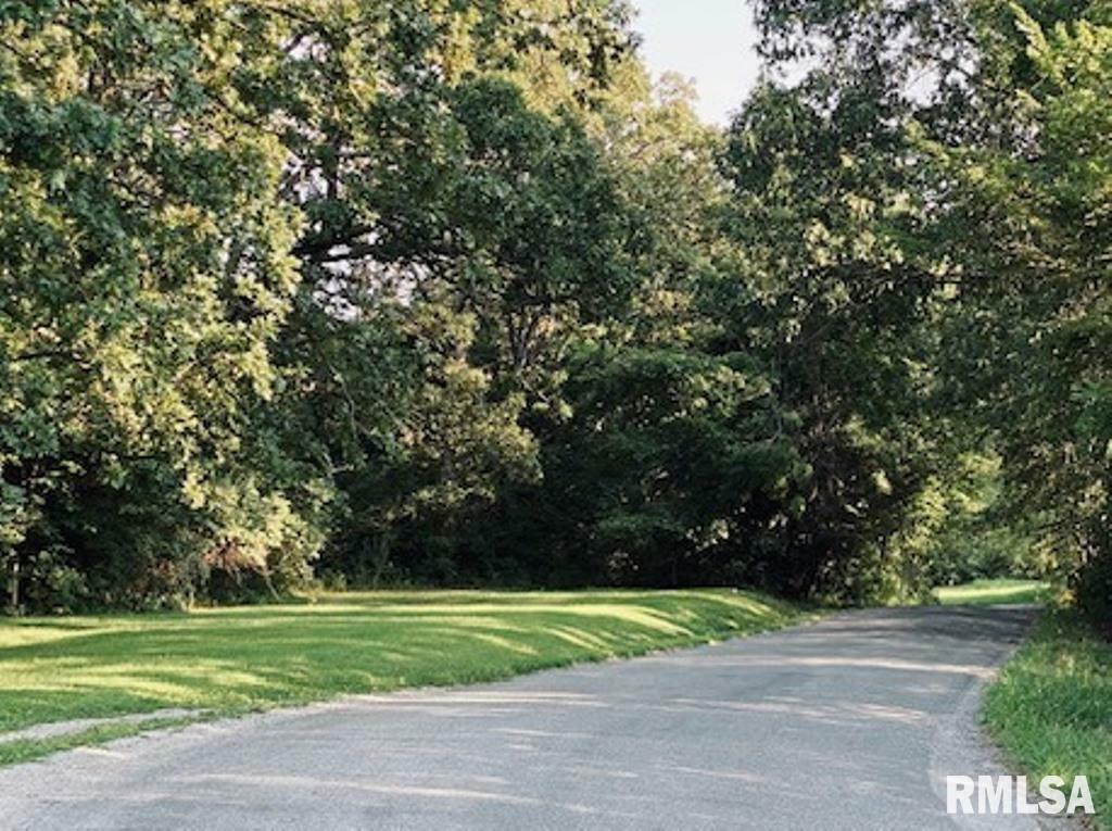 Property Photo: Lot 5 Falcon Road IL 62901