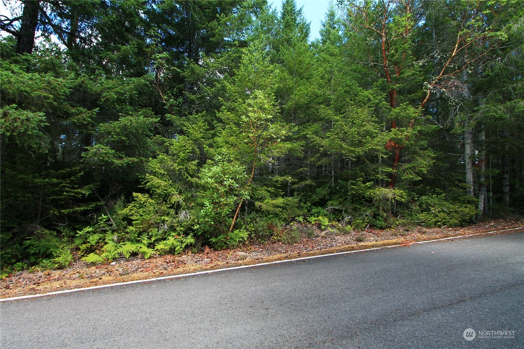 Property Photo:  0 Lot 1 NE Bear Ridge Road  WA 98588 