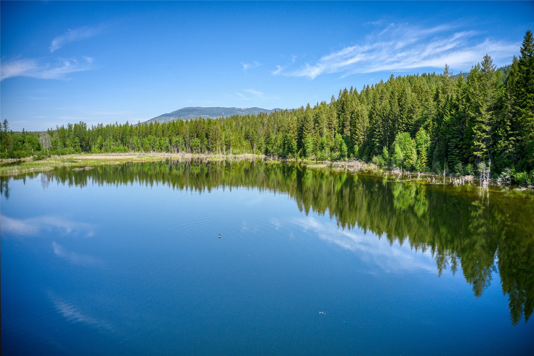 Property Photo: 2280 North Fork Road MT 59912