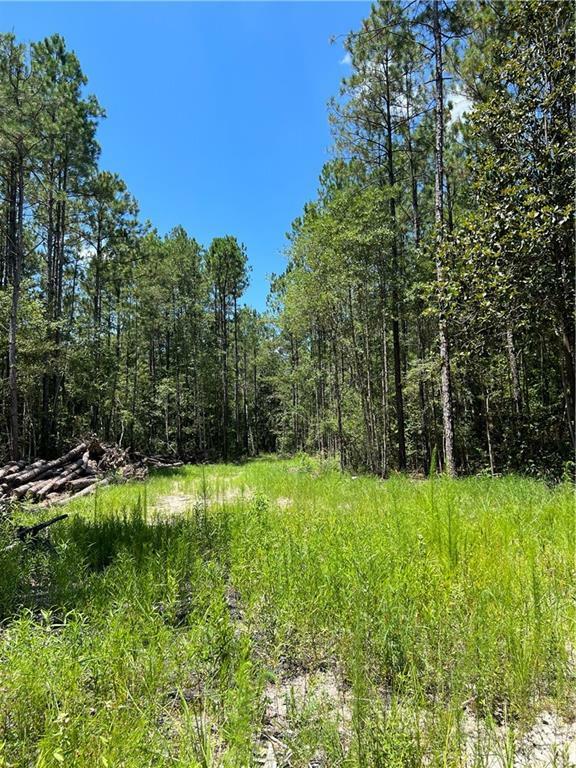 Oil Well Road  Folsom LA 70437 photo