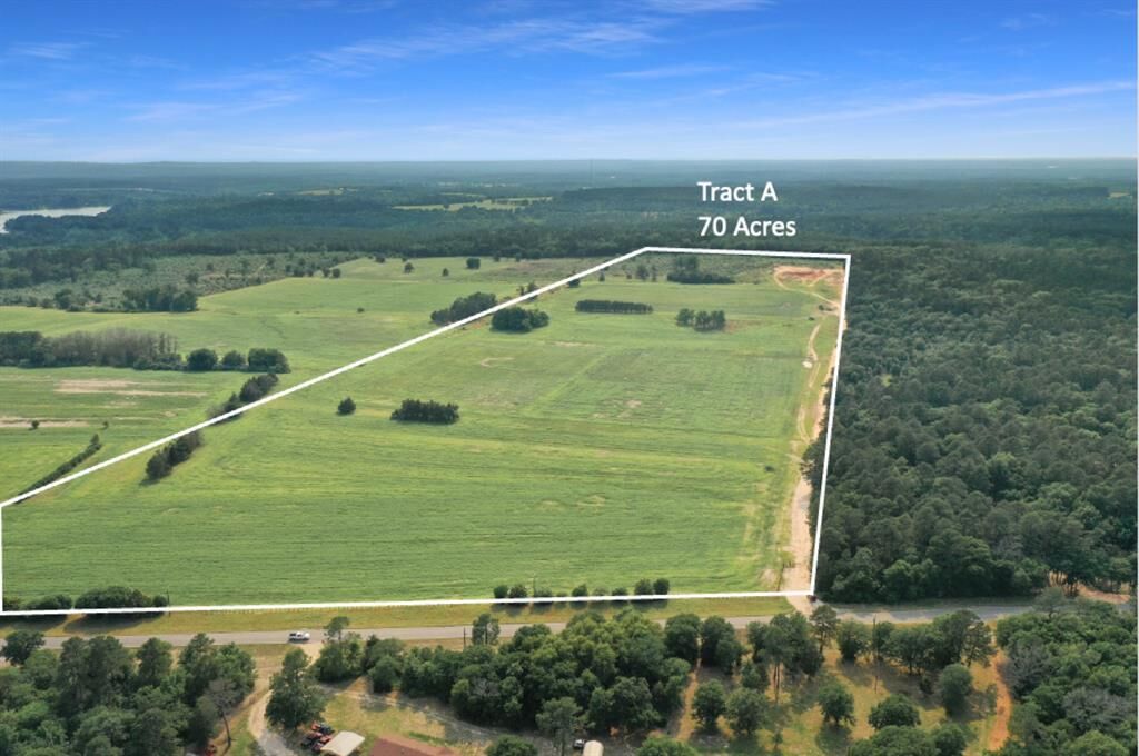 Property Photo: Tbd Fm 2869 Tract A TX 75494