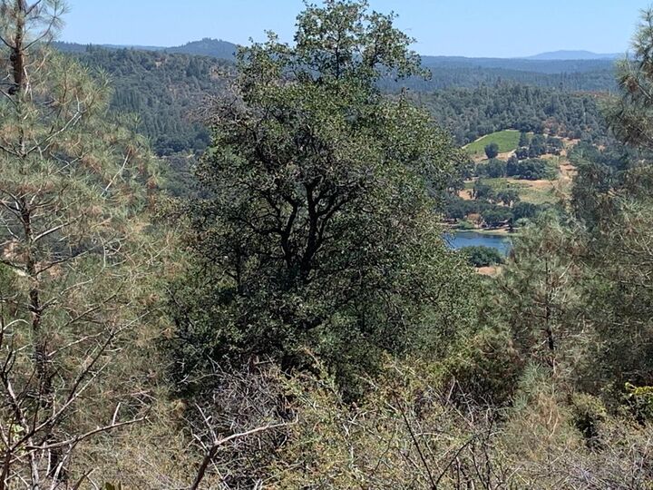 20 Ac Tower Road  Somerset CA 95684 photo