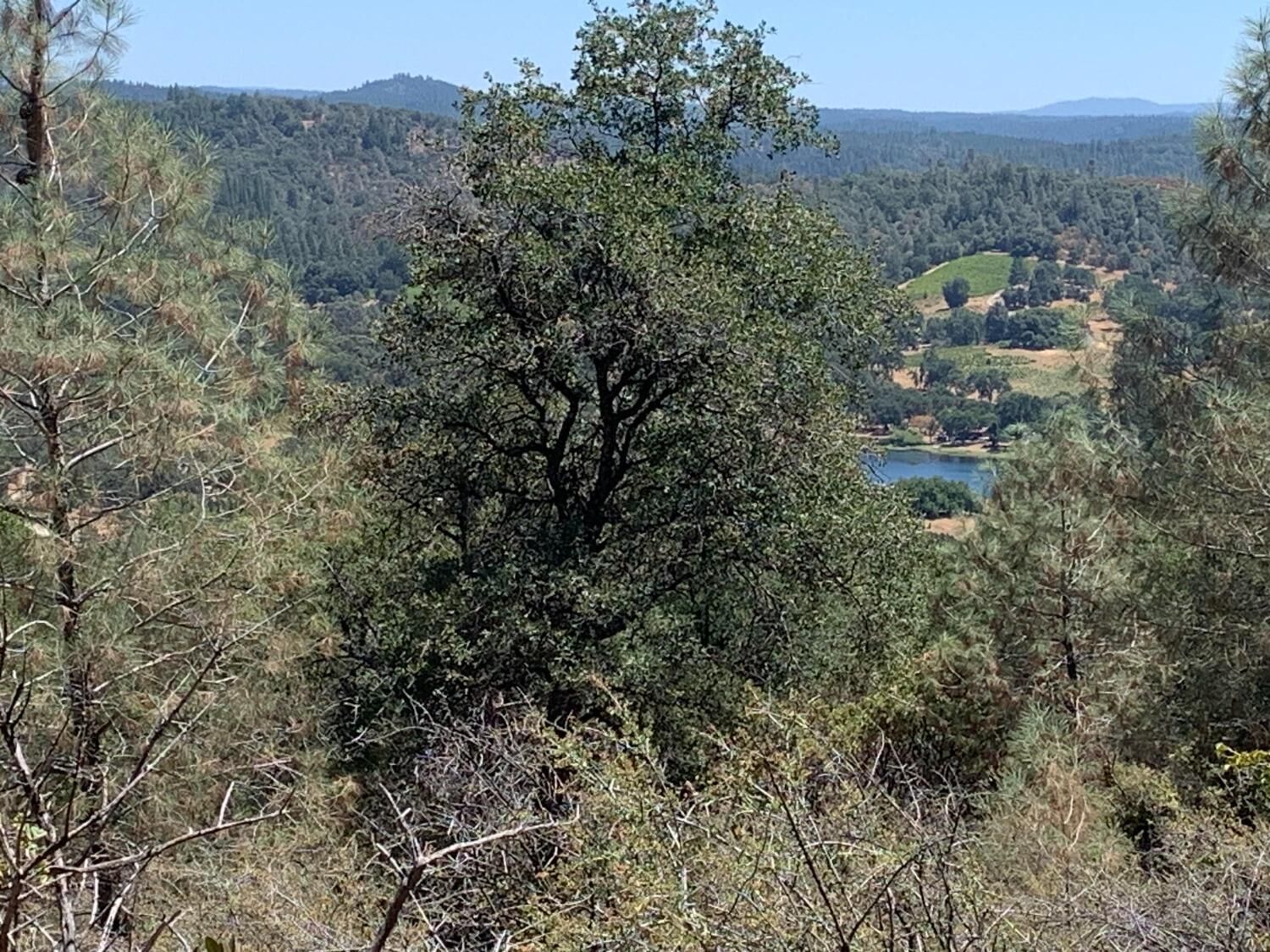 Property Photo: 20 Ac Tower Road CA 95684