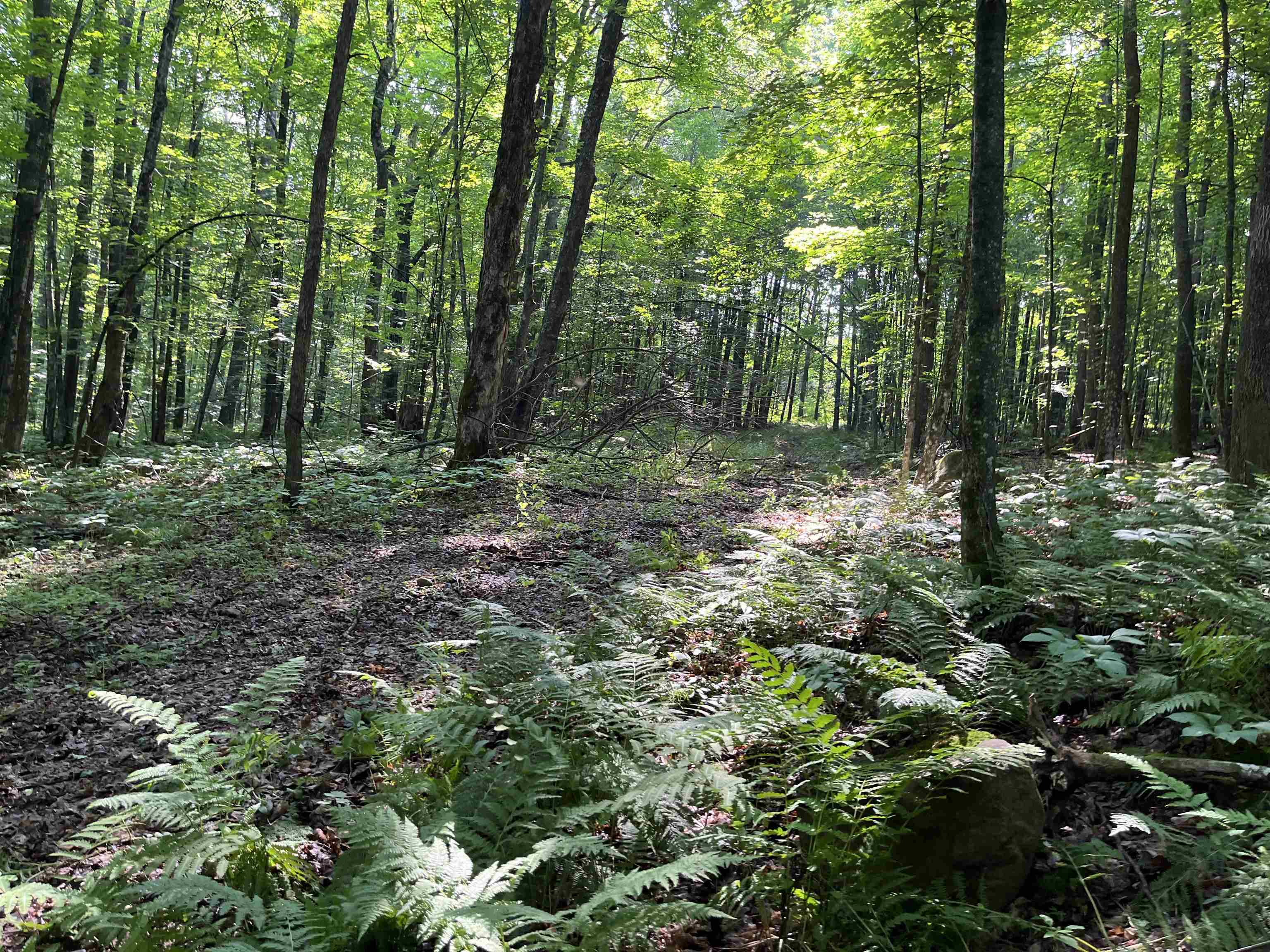 Property Photo:  On Range Line Lake  WI 54566 