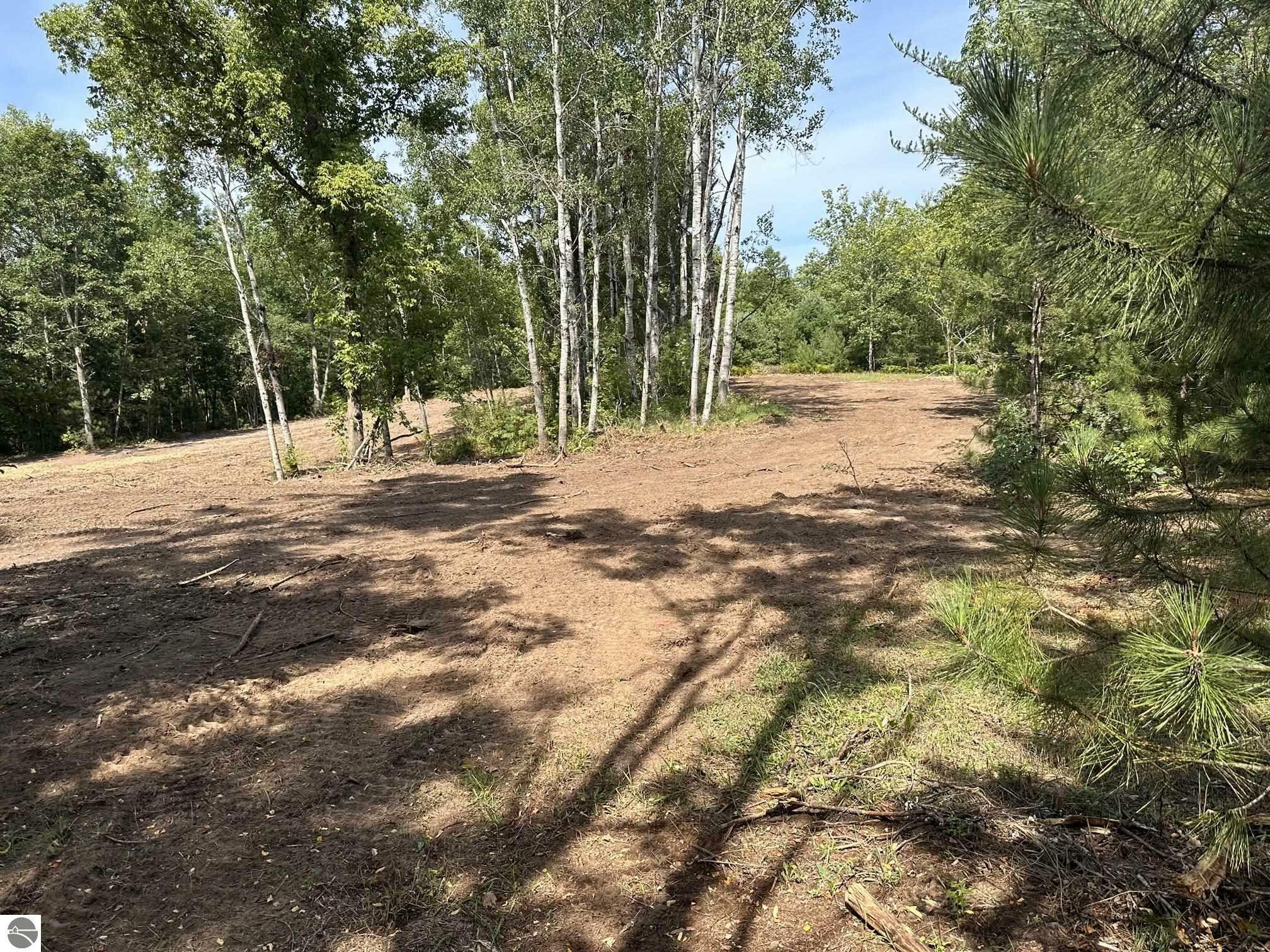 Property Photo:  Betsie River Road  MI 49643 