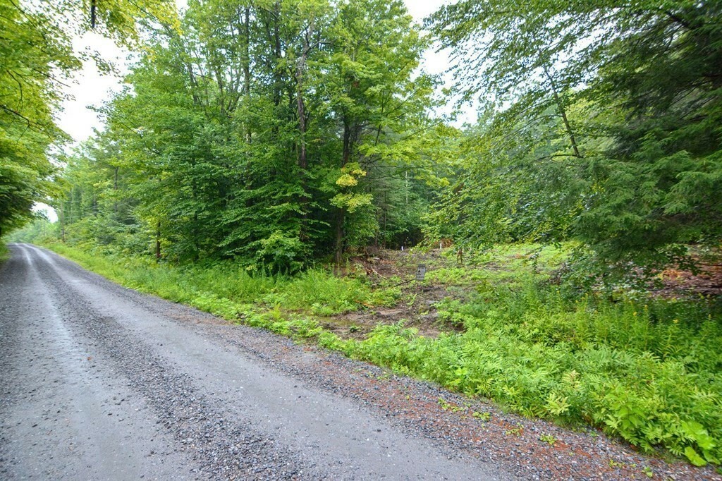 Property Photo:  171 Arthur Pease Rd  MA 01243 