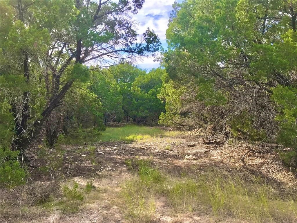 Property Photo: 8126 Chantily Trail TX 78645
