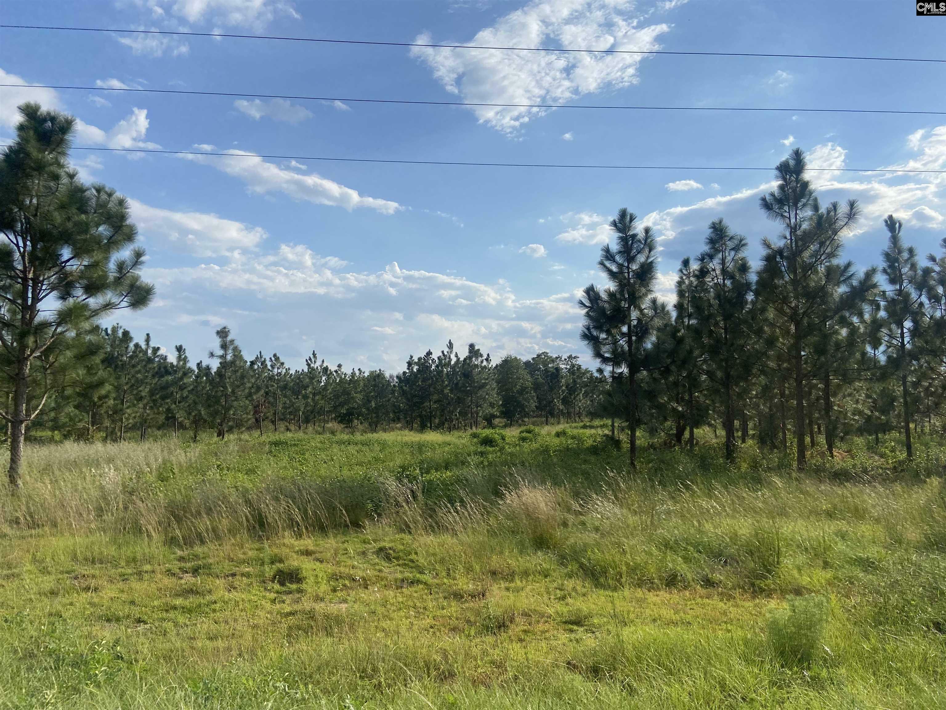 Property Photo:  2953 Bethune Rd Lot 8  SC 29009 