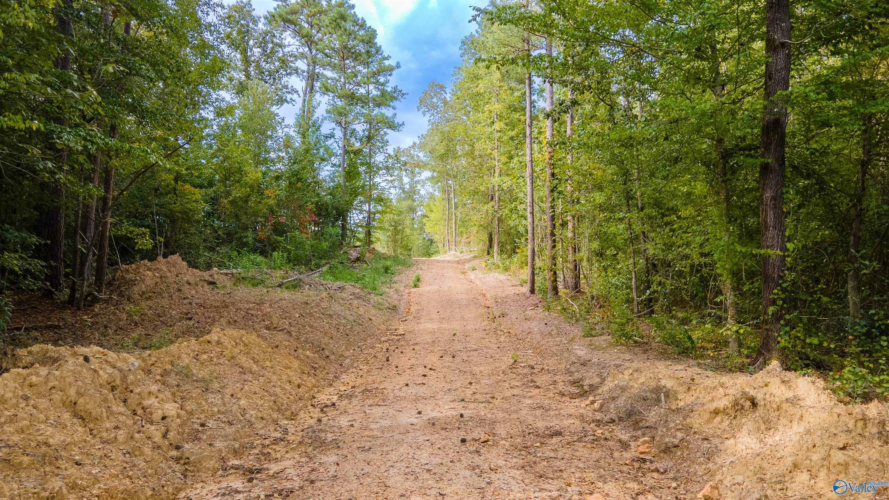 Property Photo:  10675 29 Acres Shoal Creek Road  AL 35953 