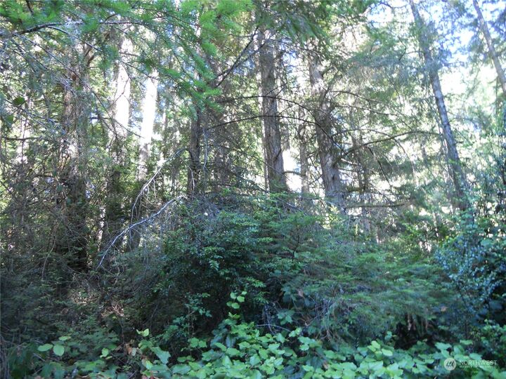 Property Photo: 12315 110th Street Ct WA 98303