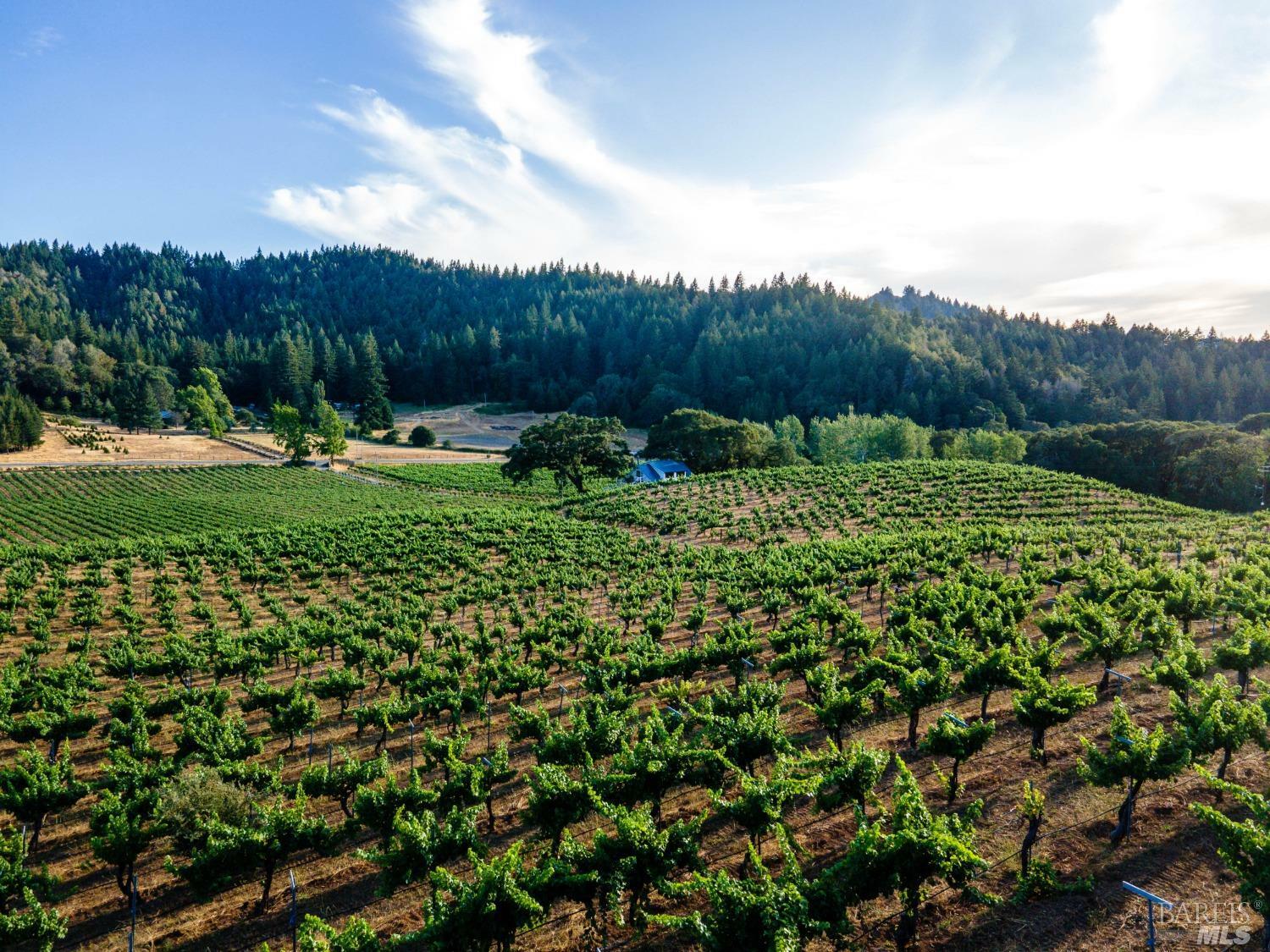 Property Photo: 25701 Hwy 128 CA 95494