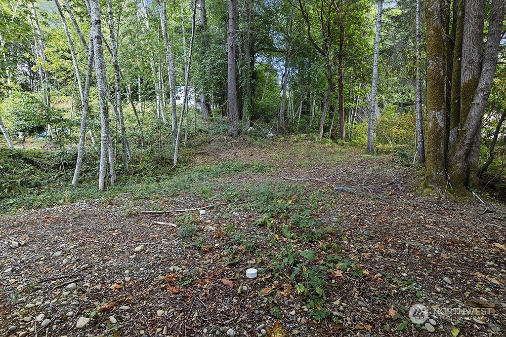 Property Photo: 0 Xxx E Shorecrest Drive WA 98584