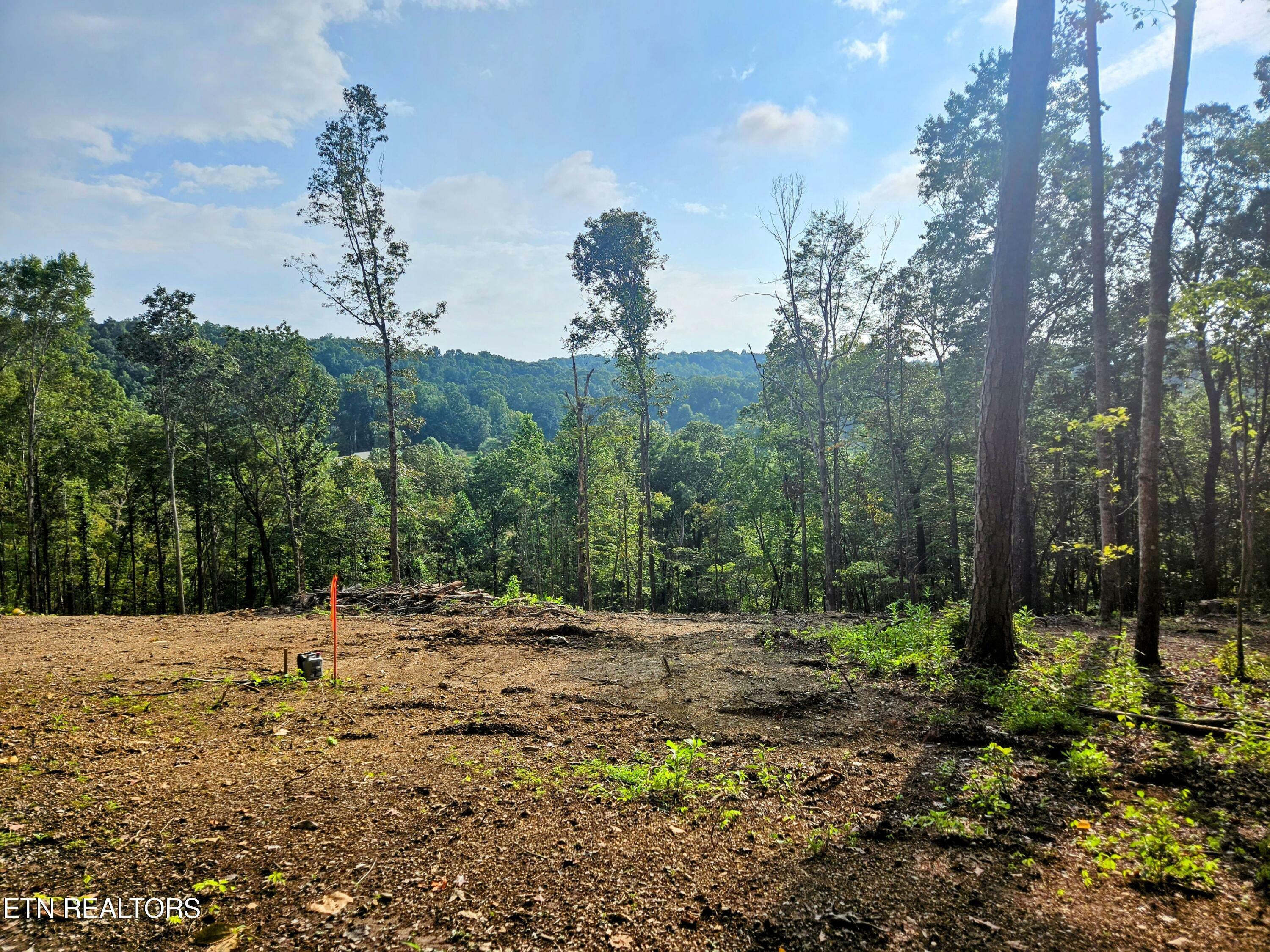 Property Photo:  Brewer Lane Lot 5  TN 37705 