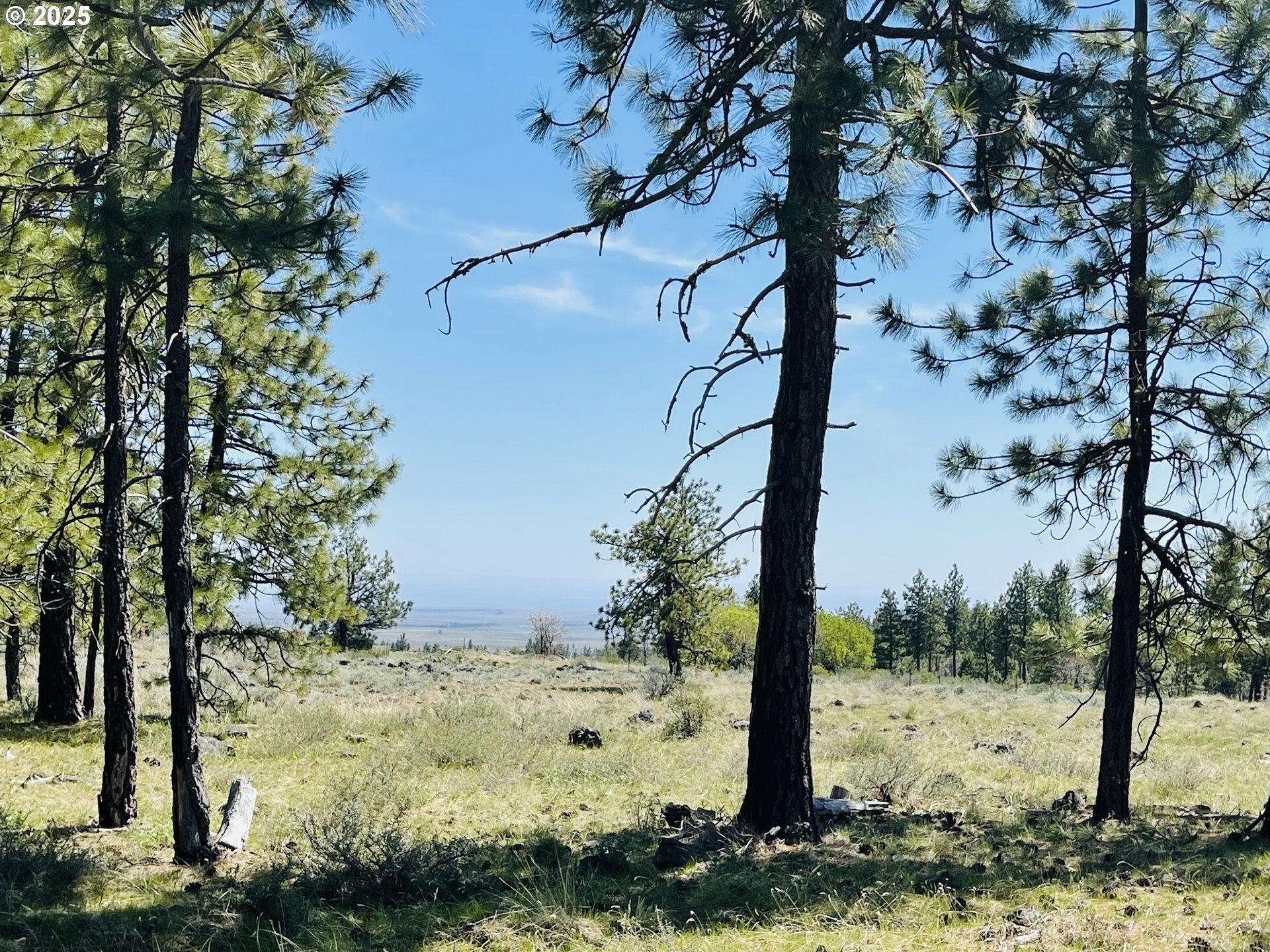 Property Photo: Jensen Quarry Rd WA 99322