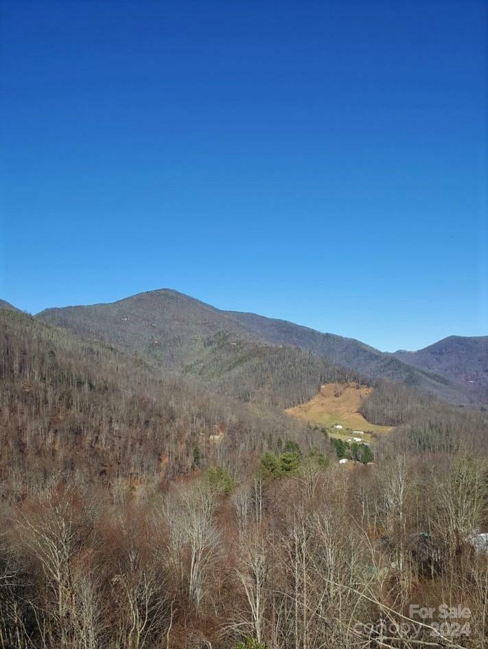 Property Photo:  0 Soco Road  NC 28751 