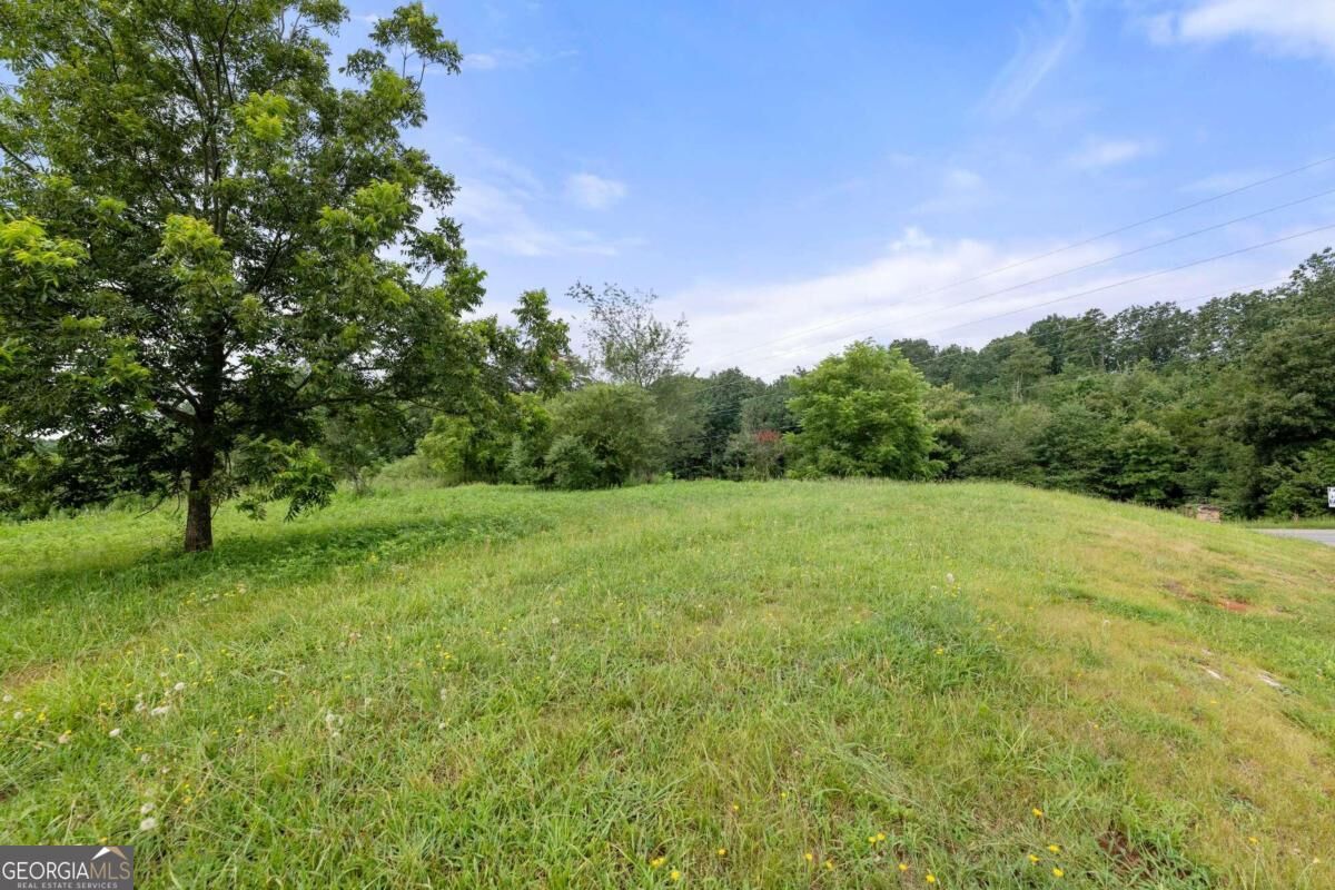 Property Photo:  0 Mayfield Road  GA 30041 
