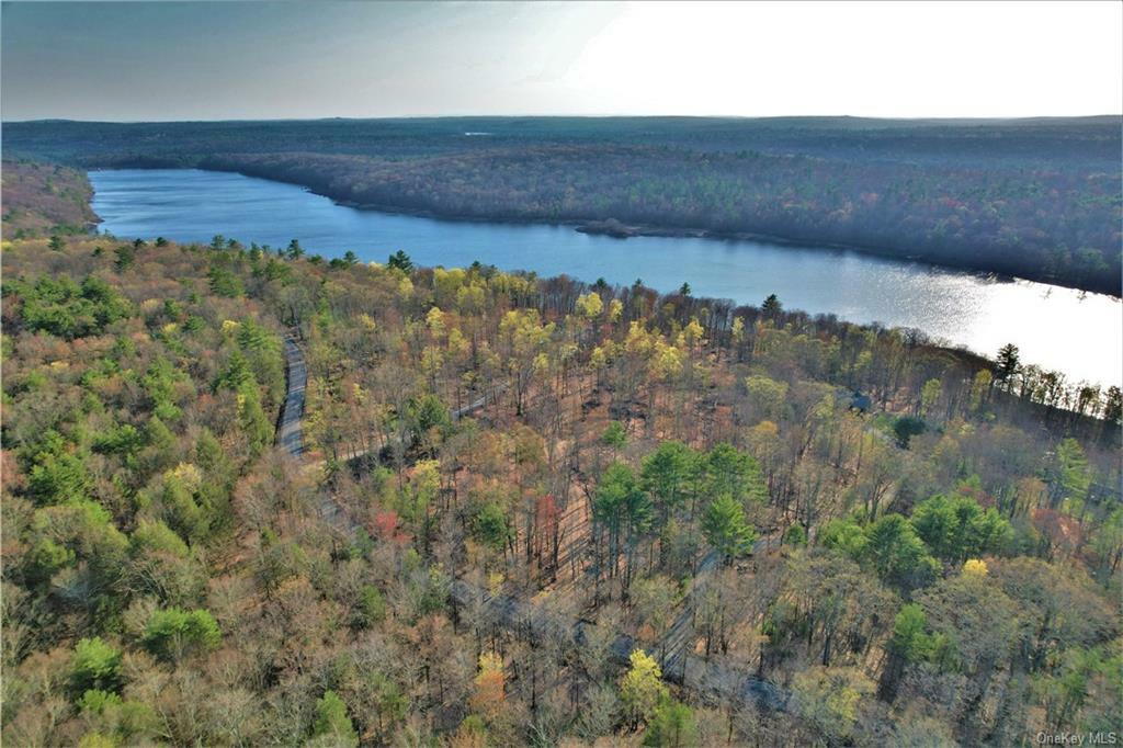 Property Photo:  Tbd Plank Road  NY 12777 