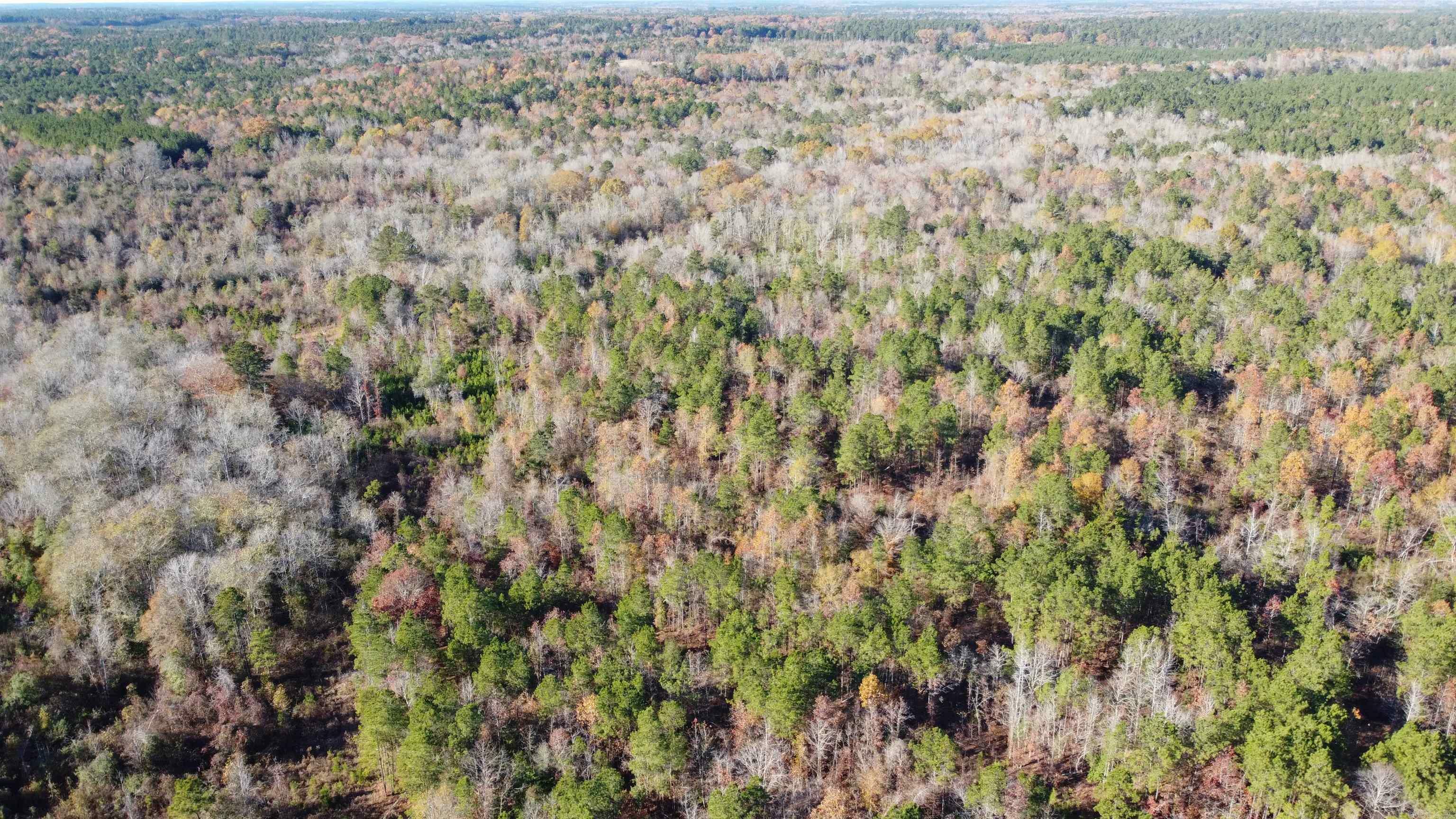 Property Photo:  40 Acres Ouachita 82 Road  AR 71701-9216 