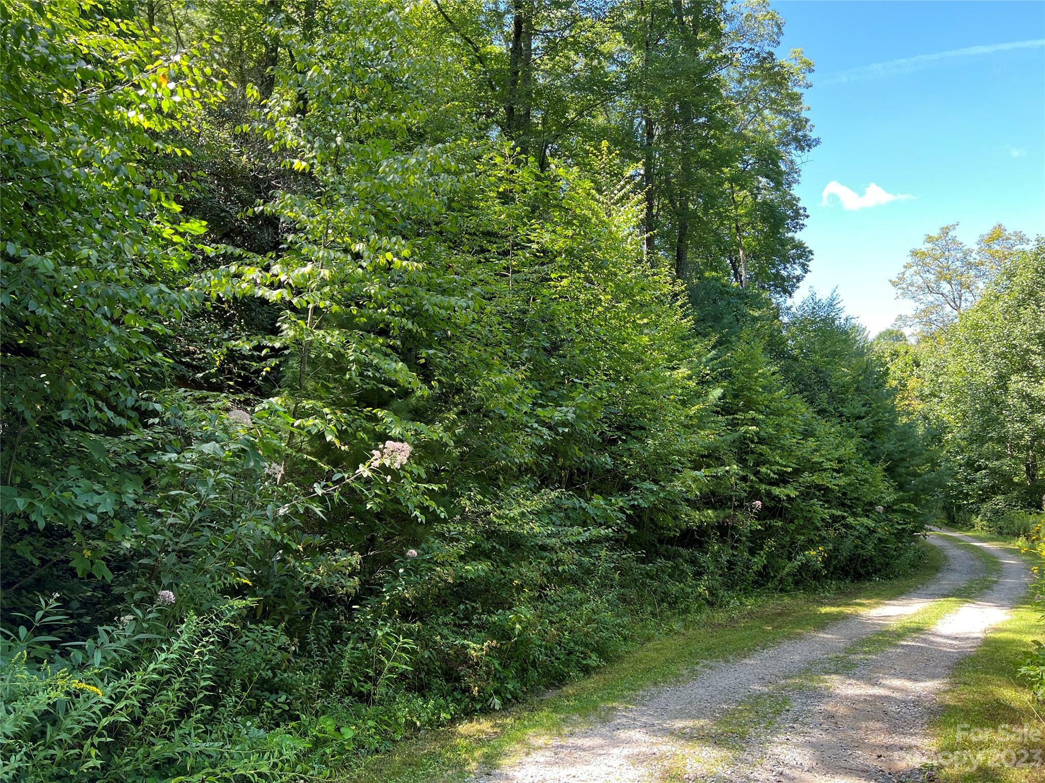 Property Photo:  Lot 5D Winding Stairs Road  NC 28647 